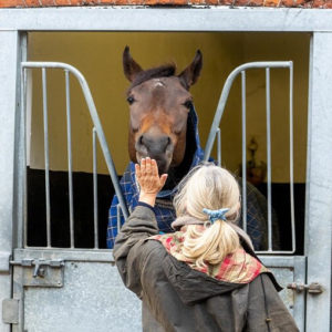 The Ultimate Newmarket Experience