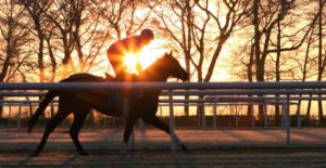 early riser tour
