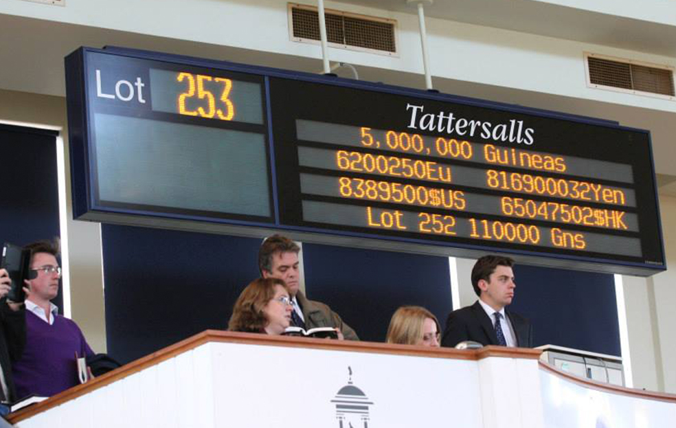 Tattersalls-Scrolling5-new