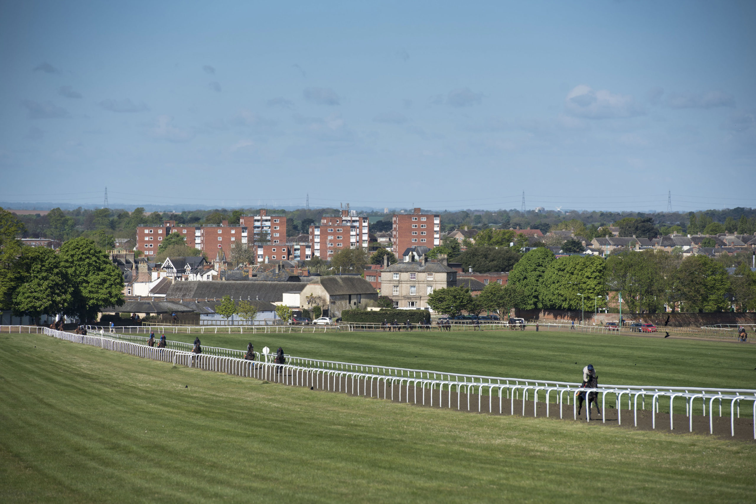 Discover Newmarket Guided Tours