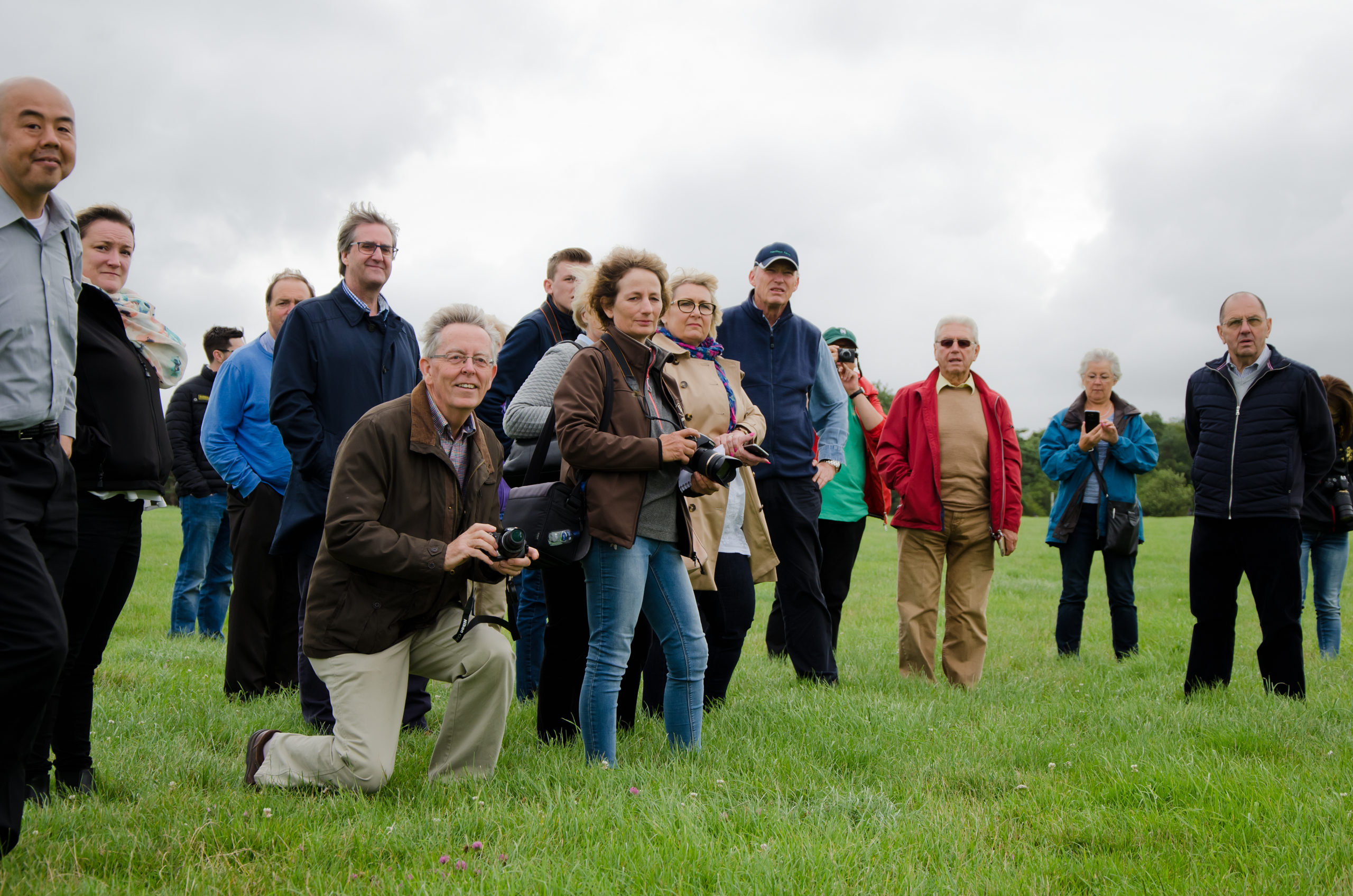 Gosden - large