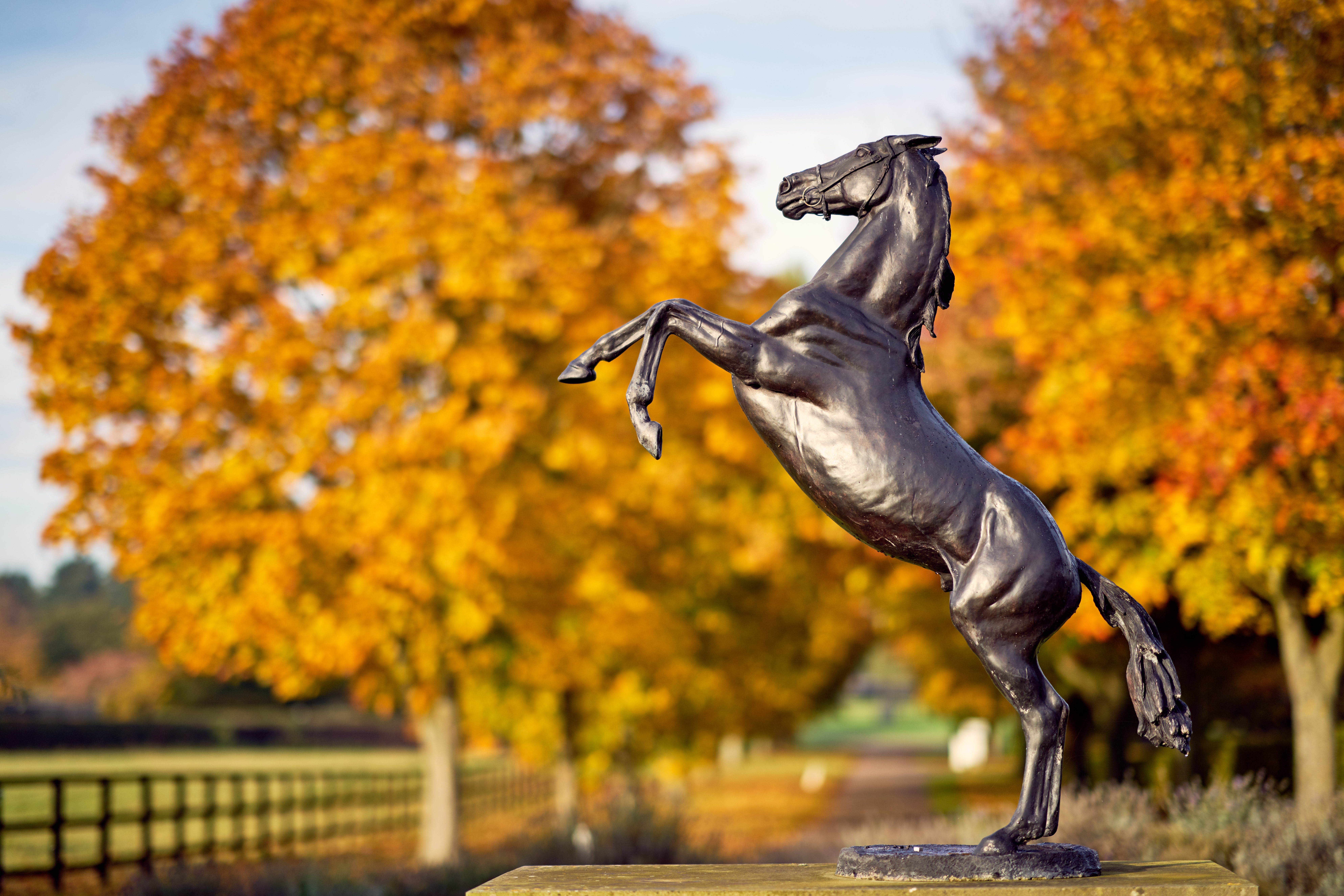 National stud statue - autumn