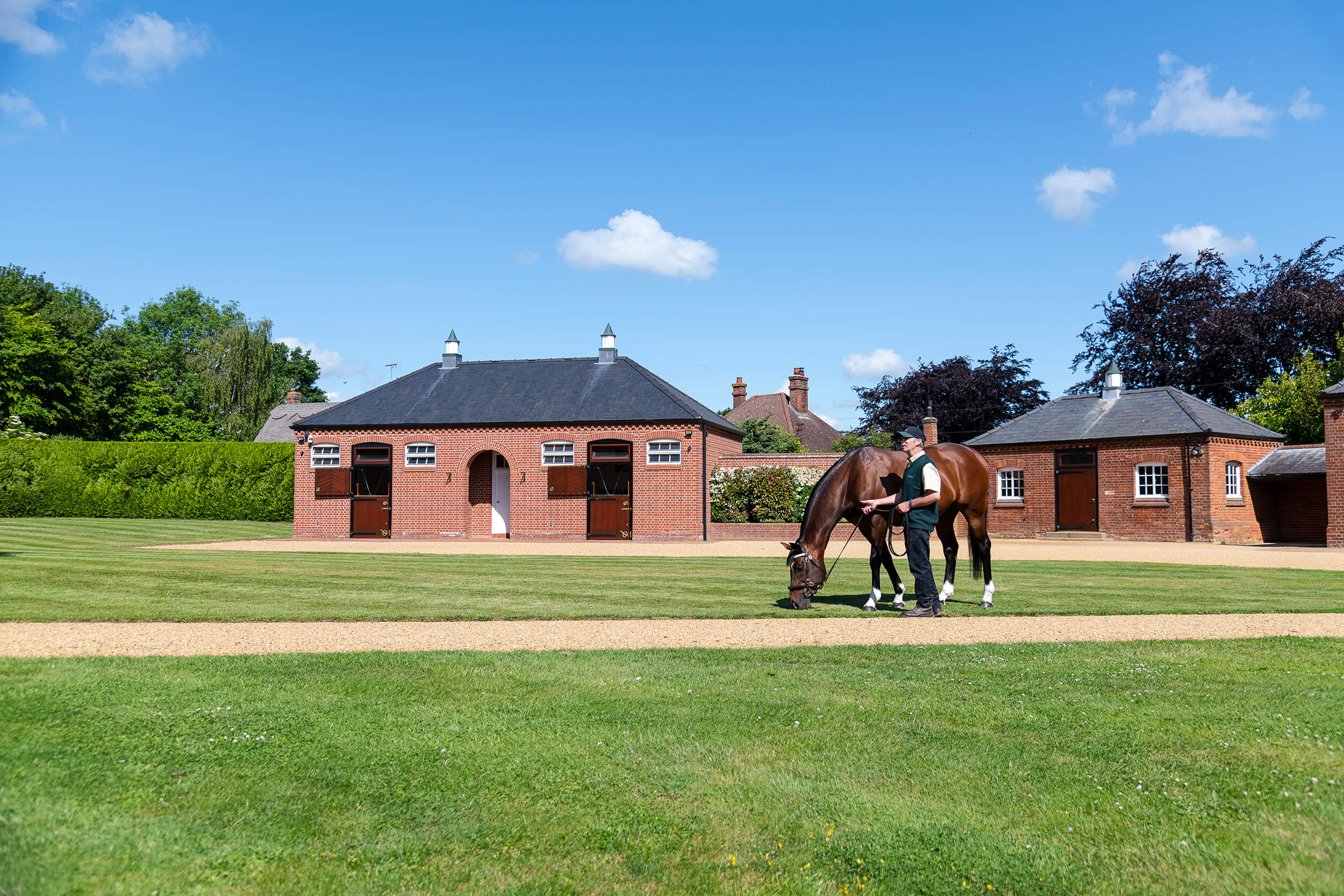 Frankel 3_reduced