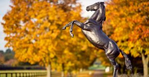 national stud tour