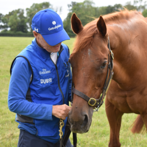 Life After Racing with Godolphin